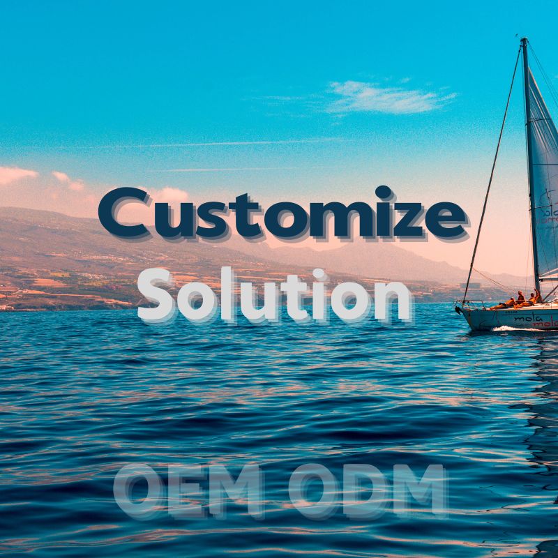 OEM Customization fee